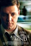 Beautiful Mind (A)