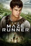 Maze Runner (The)