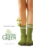 Odd Life of Timothy Green (The)