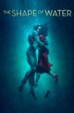 Shape of Water (The)