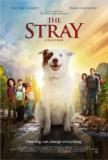 Stray (The)