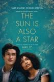 Sun Is Also a Star (The)